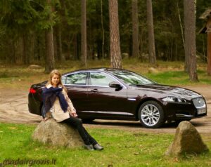 jaguar_xf12