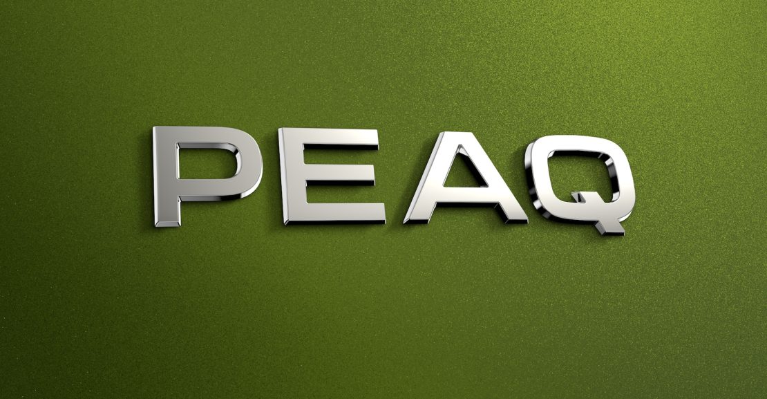 Škoda Peaq logotipas