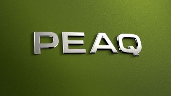 Škoda Peaq logotipas