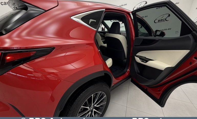 Lexus NX350H Hybrid Base AWD Automatas 2024 full