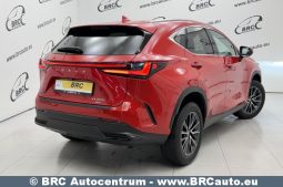 Lexus NX350H Hybrid Base AWD Automatas 2024 full