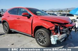Lexus NX350H Hybrid Base AWD Automatas 2024 full