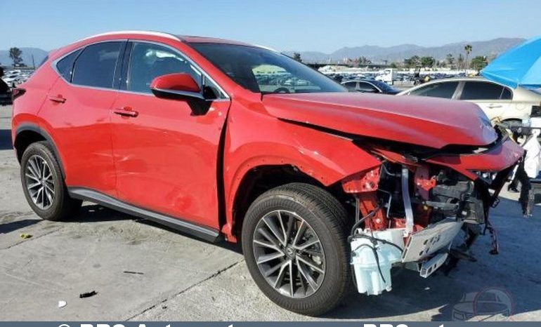 Lexus NX350H Hybrid Base AWD Automatas 2024 full