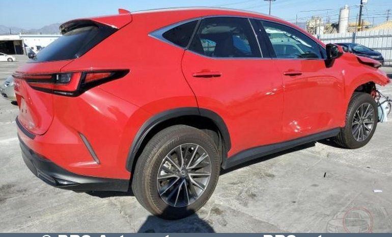 Lexus NX350H Hybrid Base AWD Automatas 2024 full
