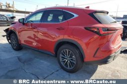 Lexus NX350H Hybrid Base AWD Automatas 2024 full