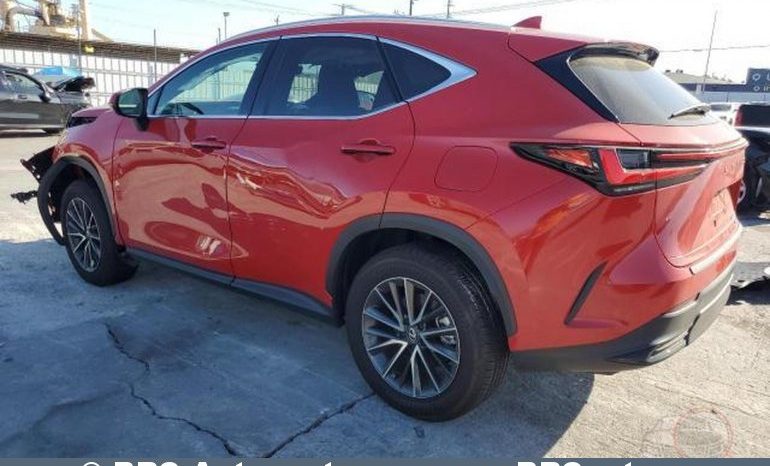 Lexus NX350H Hybrid Base AWD Automatas 2024 full