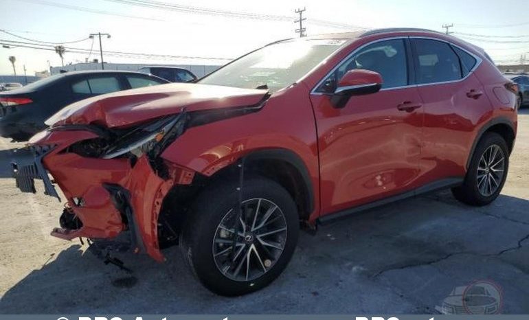 Lexus NX350H Hybrid Base AWD Automatas 2024 full